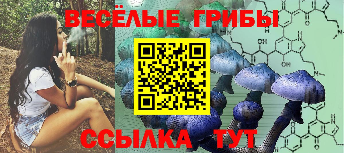 Старая Русса  Псилоцибиновые грибы MAGIC MUSHROOMS  Галлюциногенные грибы ЛСД  Вход с VPN 